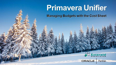 Managing Budgets with the Cost Sheet in Primavera Unifier
